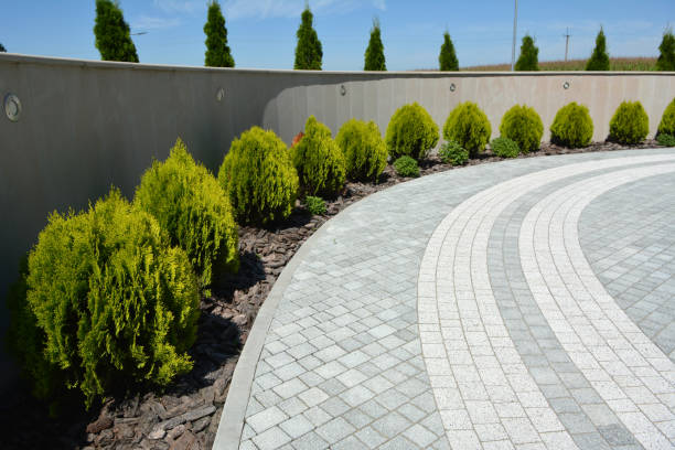 Best Brick Paver Driveways in Shorewood, IL